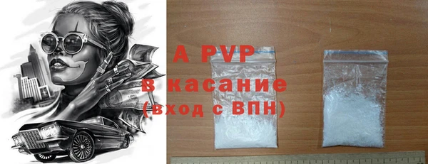 индика Алексин