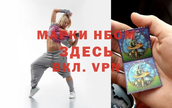 индика Алексин
