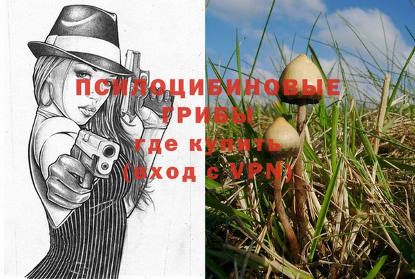индика Алексин
