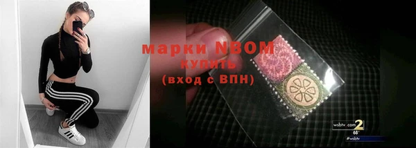 индика Алексин