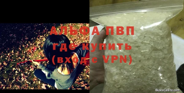 индика Алексин