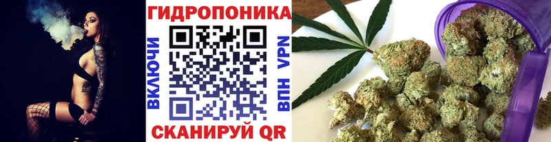 купить закладку  OMG как зайти  Каннабис White Widow  Уяр 